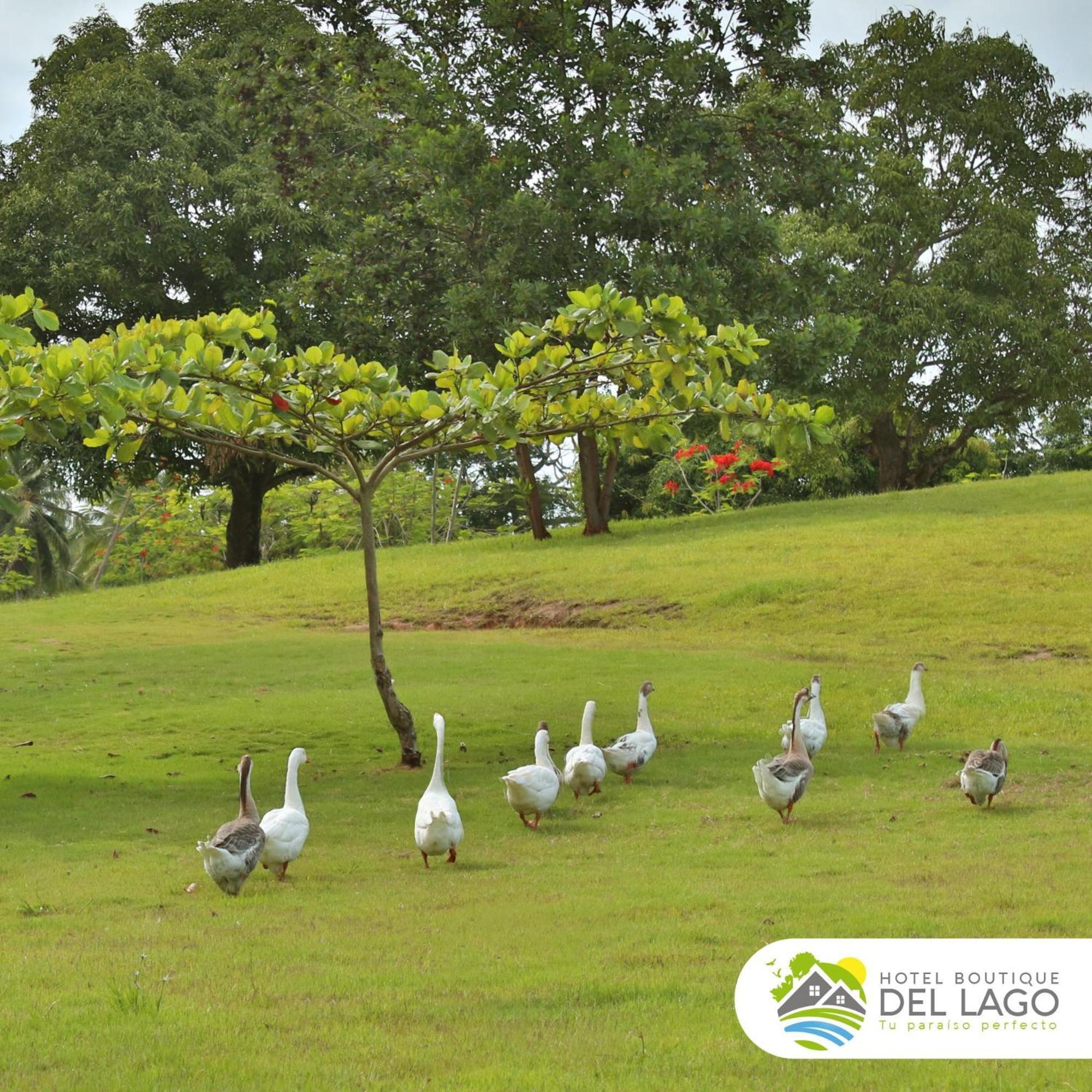 Hotel Boutique Del Lago Nagua Kültér fotó
